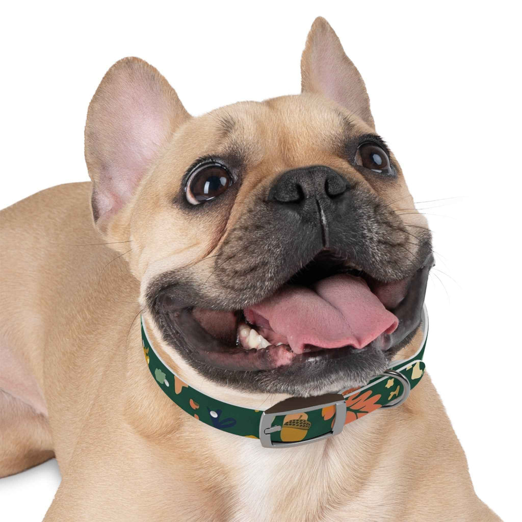 Autumn Floral Dog Collar - Adjustable Seasonal Acorn Floral Collar for Dogs - Tulique
