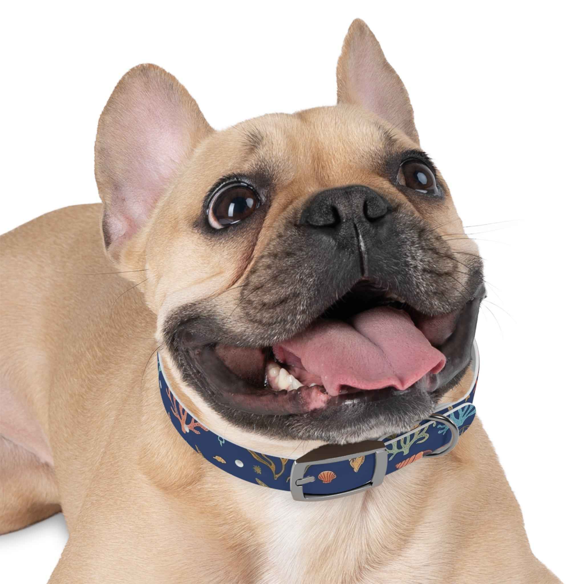 Navy Seashell Dog Collar — Coral & Shell Beach Print Adjustable Collar - Tulique
