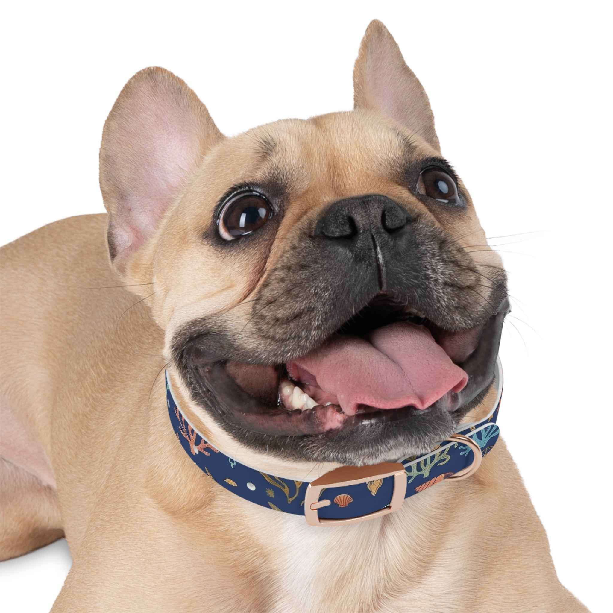 Navy Seashell Dog Collar — Coral & Shell Beach Print Adjustable Collar - Tulique