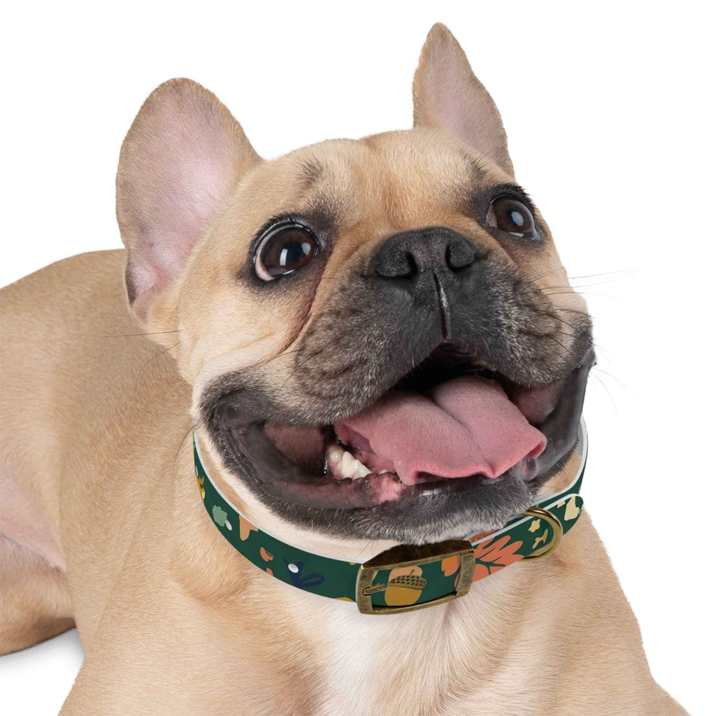 Autumn Floral Dog Collar - Adjustable Seasonal Acorn Floral Collar for Dogs - Tulique