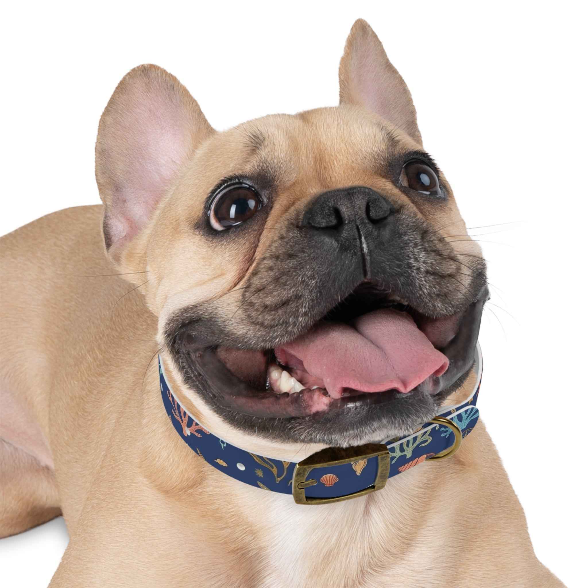 Navy Seashell Dog Collar — Coral & Shell Beach Print Adjustable Collar - Tulique