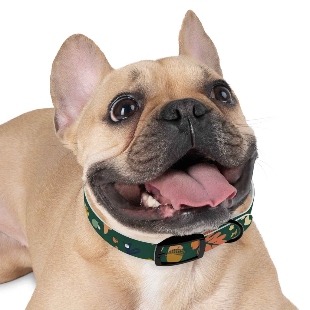 Autumn Floral Dog Collar - Adjustable Seasonal Acorn Floral Collar for Dogs - Tulique