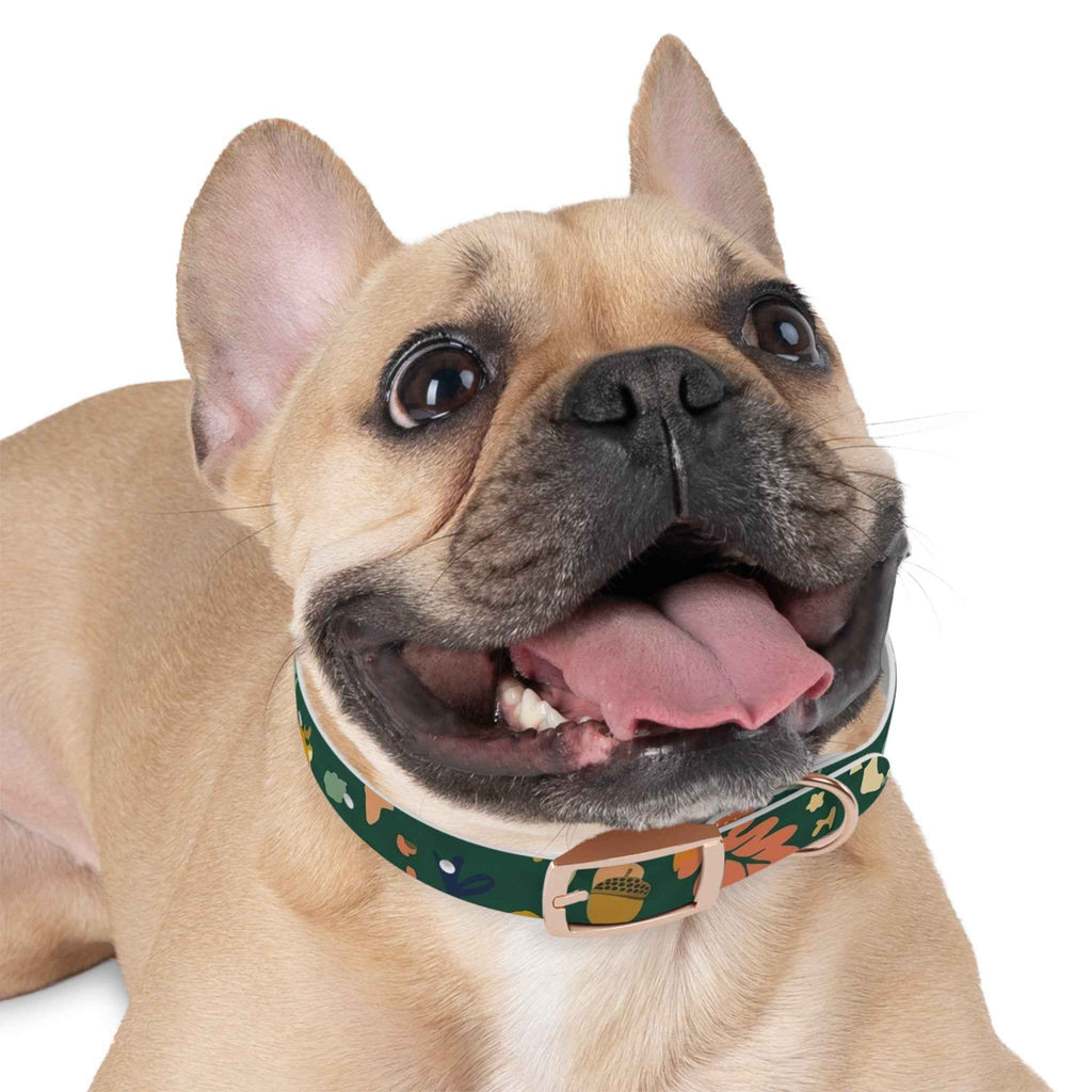 Autumn floral dog collar with acorn pattern - green adjustable nylon