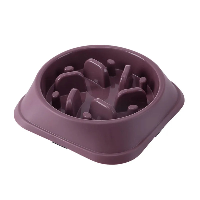Premium Pet Slow Feeder Bowl - Healthy Eating Solution
