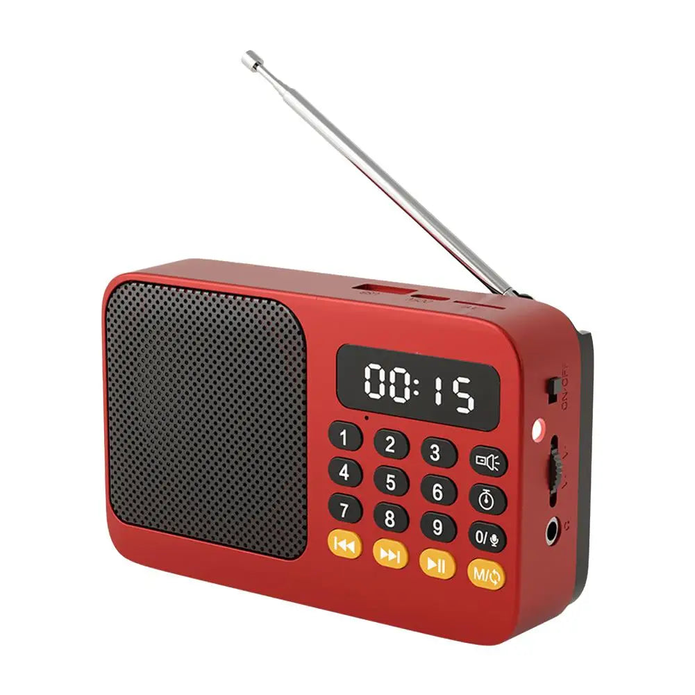 Portable Bluetooth Speaker - FM Radio & LED Light Wireless Audio