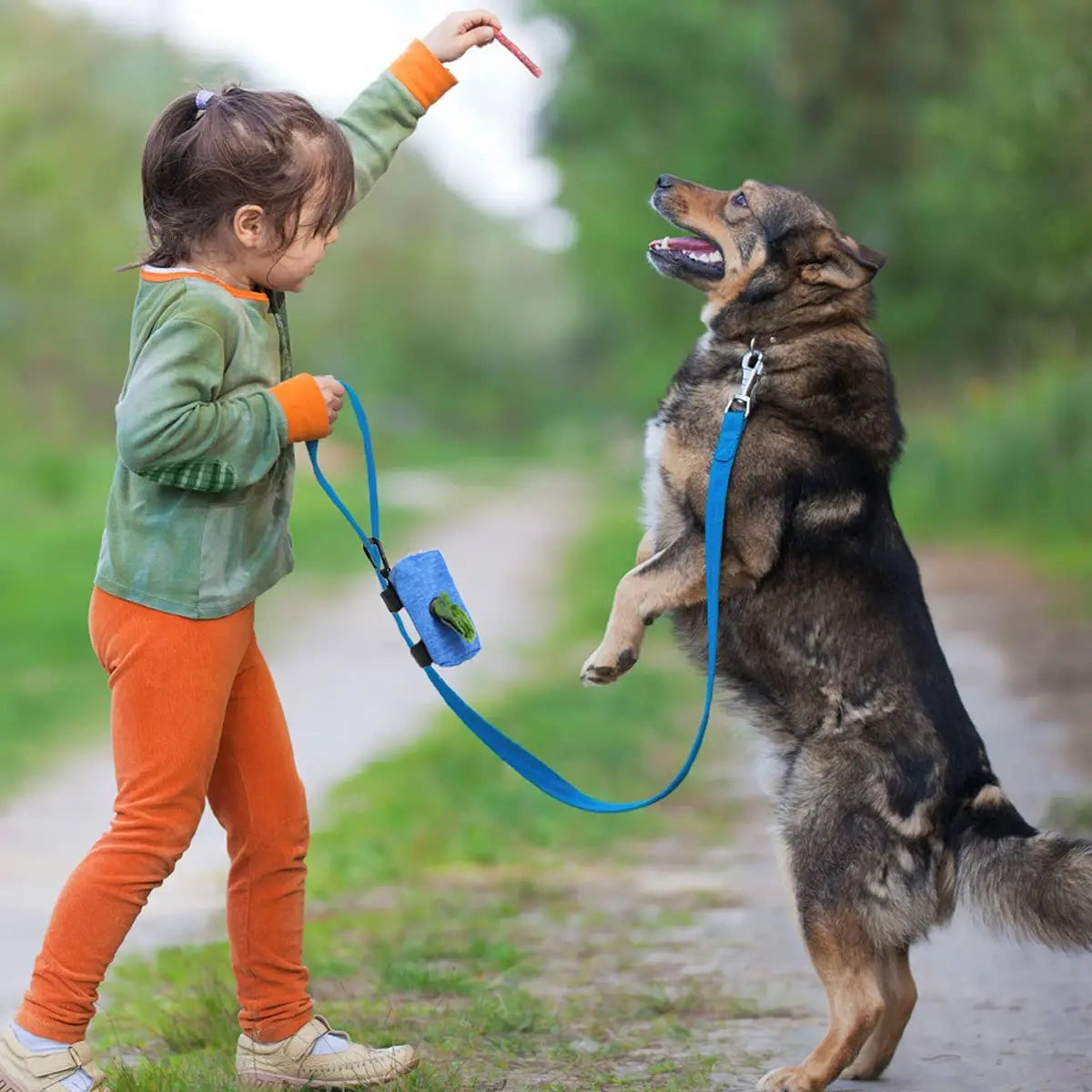 Premium Pet Waste Bag Dispenser - Durable & Portable