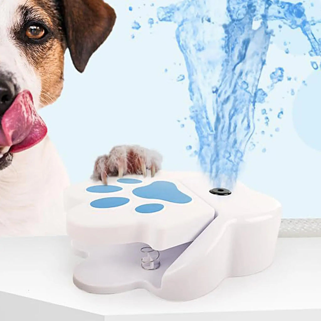Premium Paw Activated Dog Fountain - Outdoor Sprinkler