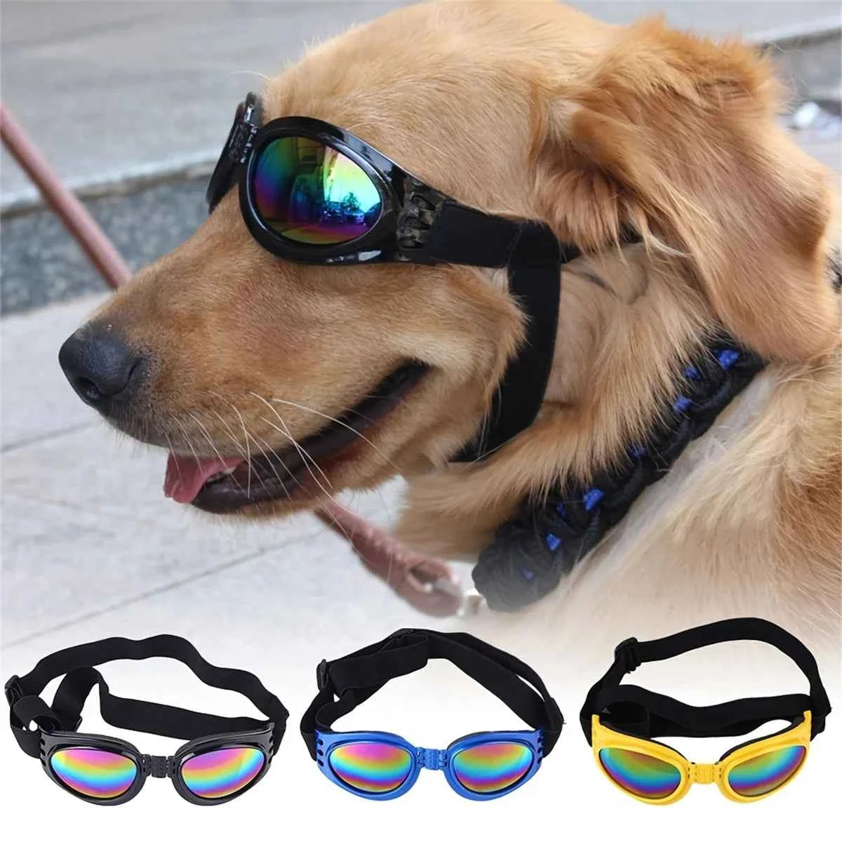 dog goggles anti-UV - black lenses with adjustable strap for eye protection