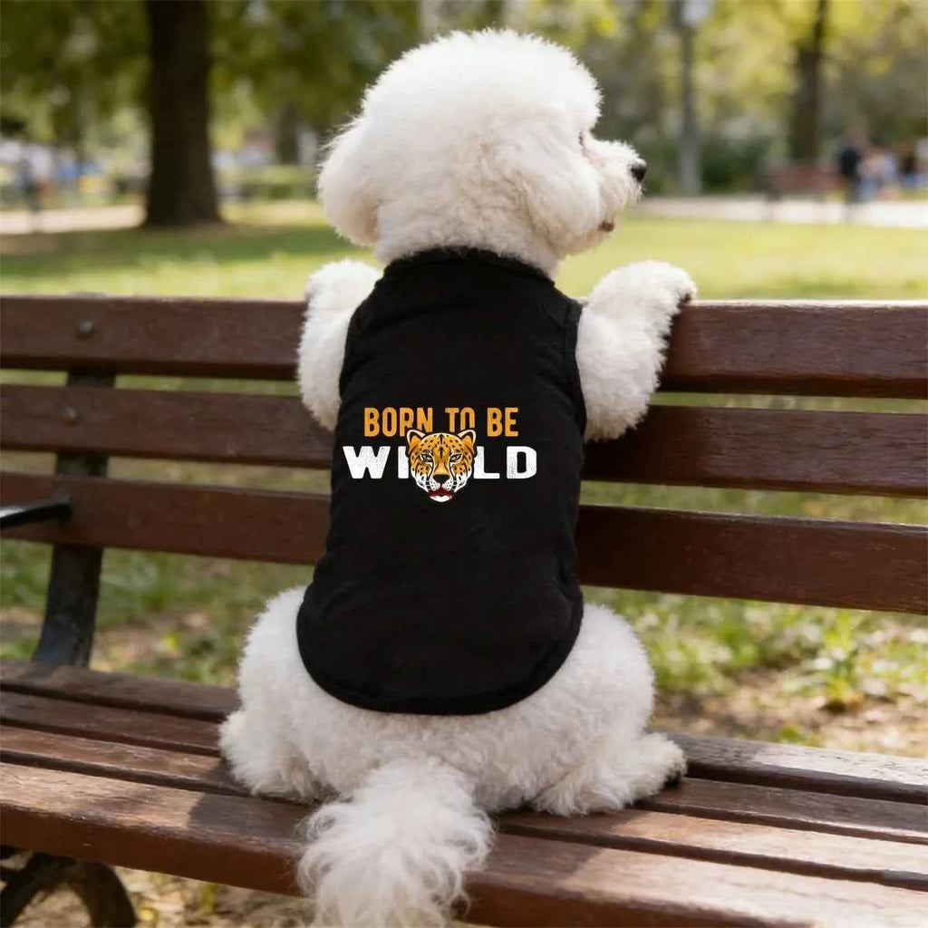 Printed pet t-shirt - gray fashion t-shirt for dogs with unique print