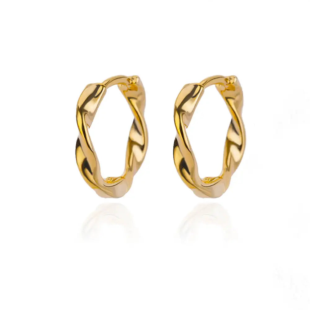 Elegant Stainless Steel Hoop Earrings - Luxury Vintage Jewelry