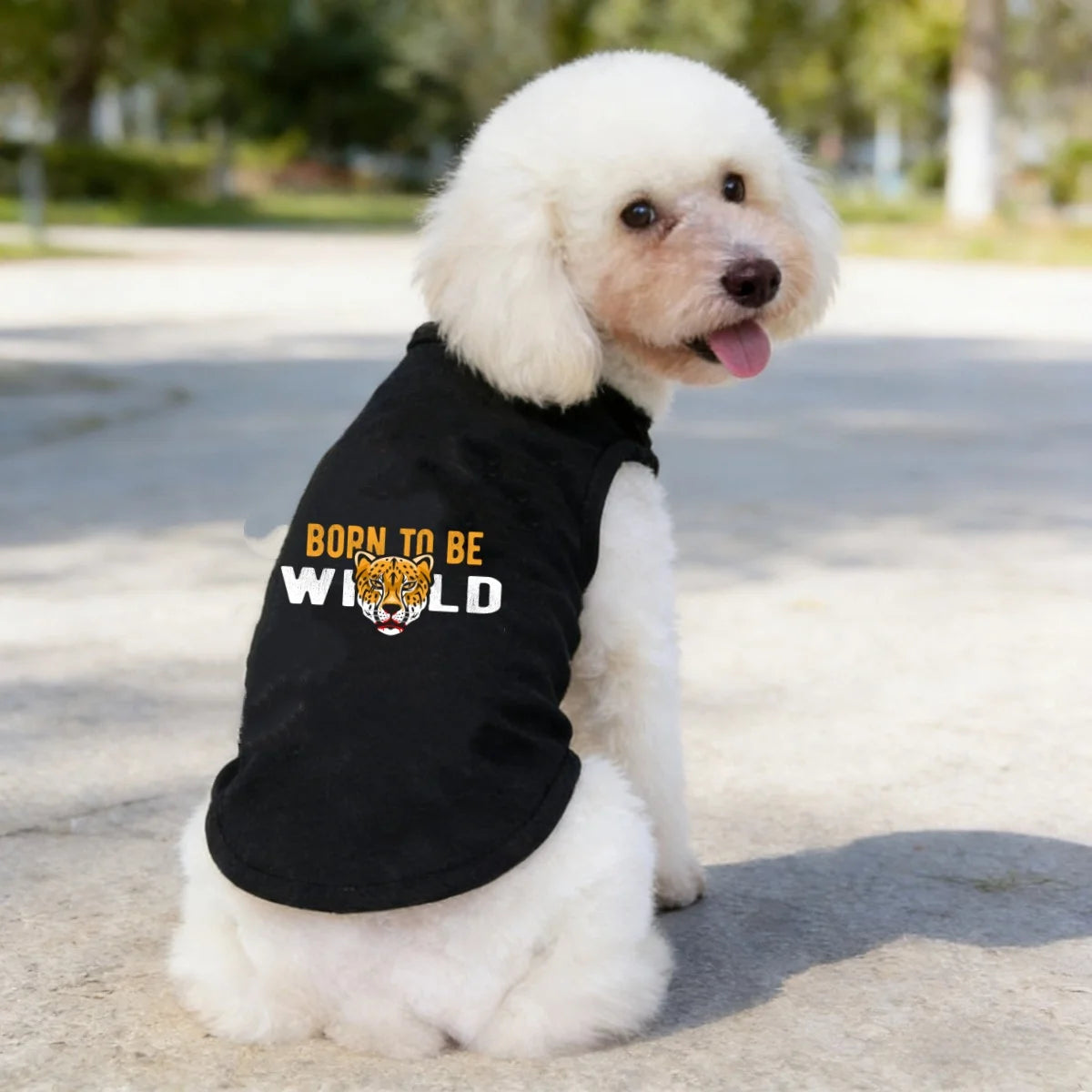 Premium Printed Pet T-Shirt - All Season Comfort