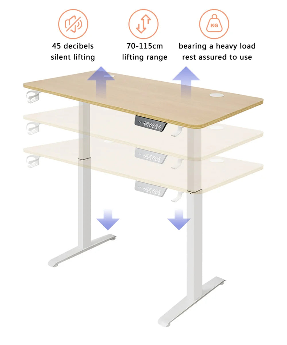 Premium Electric Standing Desk - Height Adjustable Motion Desk