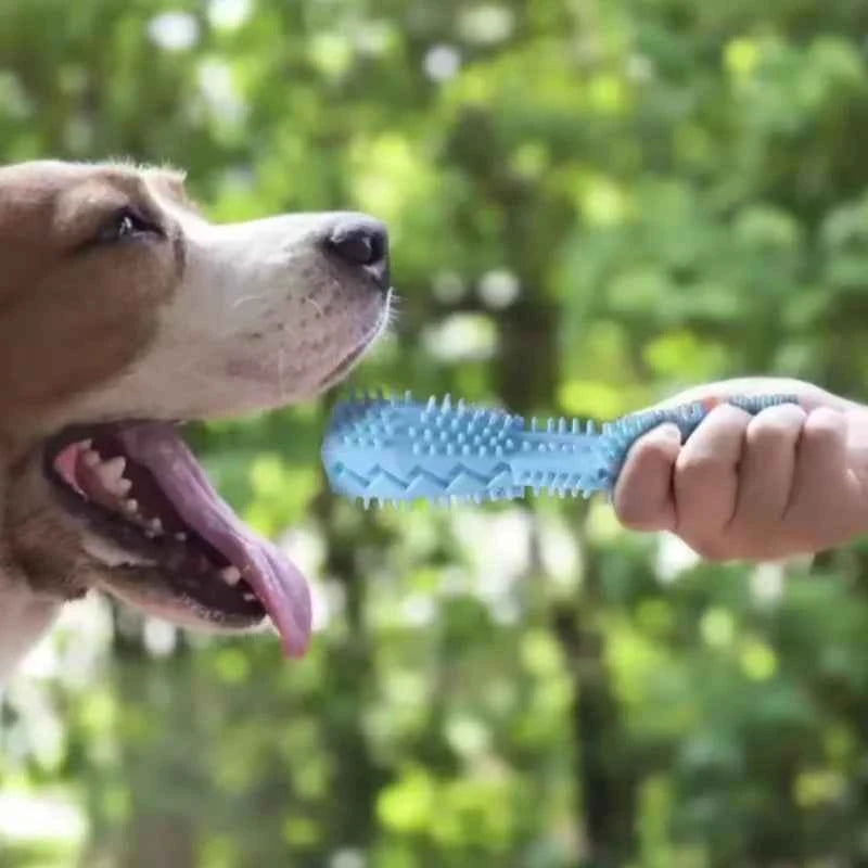 Premium Dog Chew Toy - Dental Cleaning & Leaky Treat Function