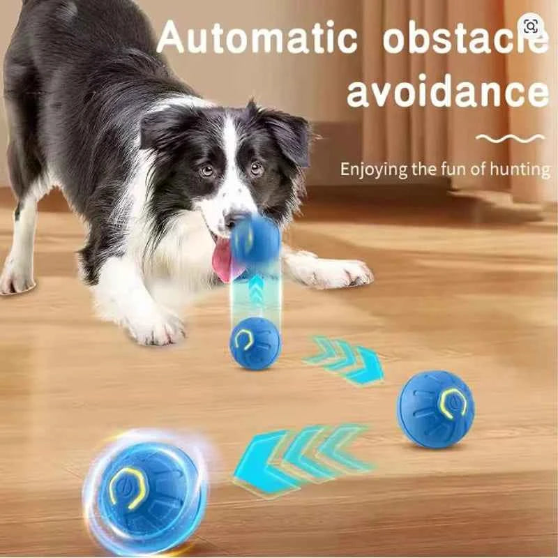 Premium Interactive Pet Toy Ball - Automatic Moving & USB Rechargeable