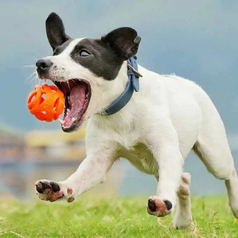 Pet Toys - Bite-resistant Chewing Balls - Hollow Elastic Balls - Training Balls -Entertainment and Relaxation Toys -Pet Supplies