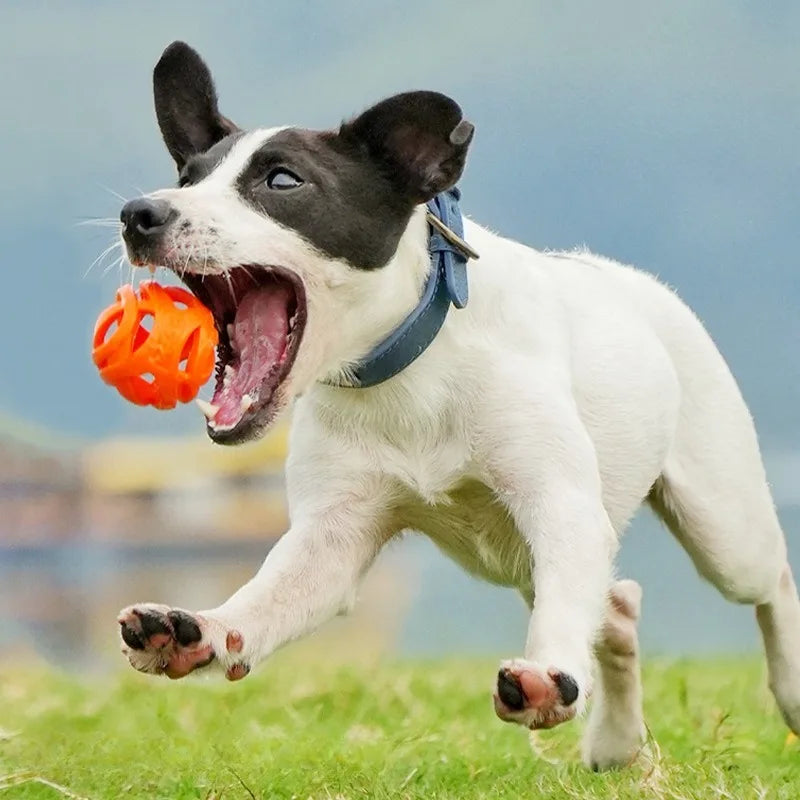 Premium Dog Chew Balls - Bite-Resistant Silicone