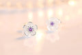 Elegant Sterling Silver Flower Stud Earrings - Luxury Zircon Jewelry