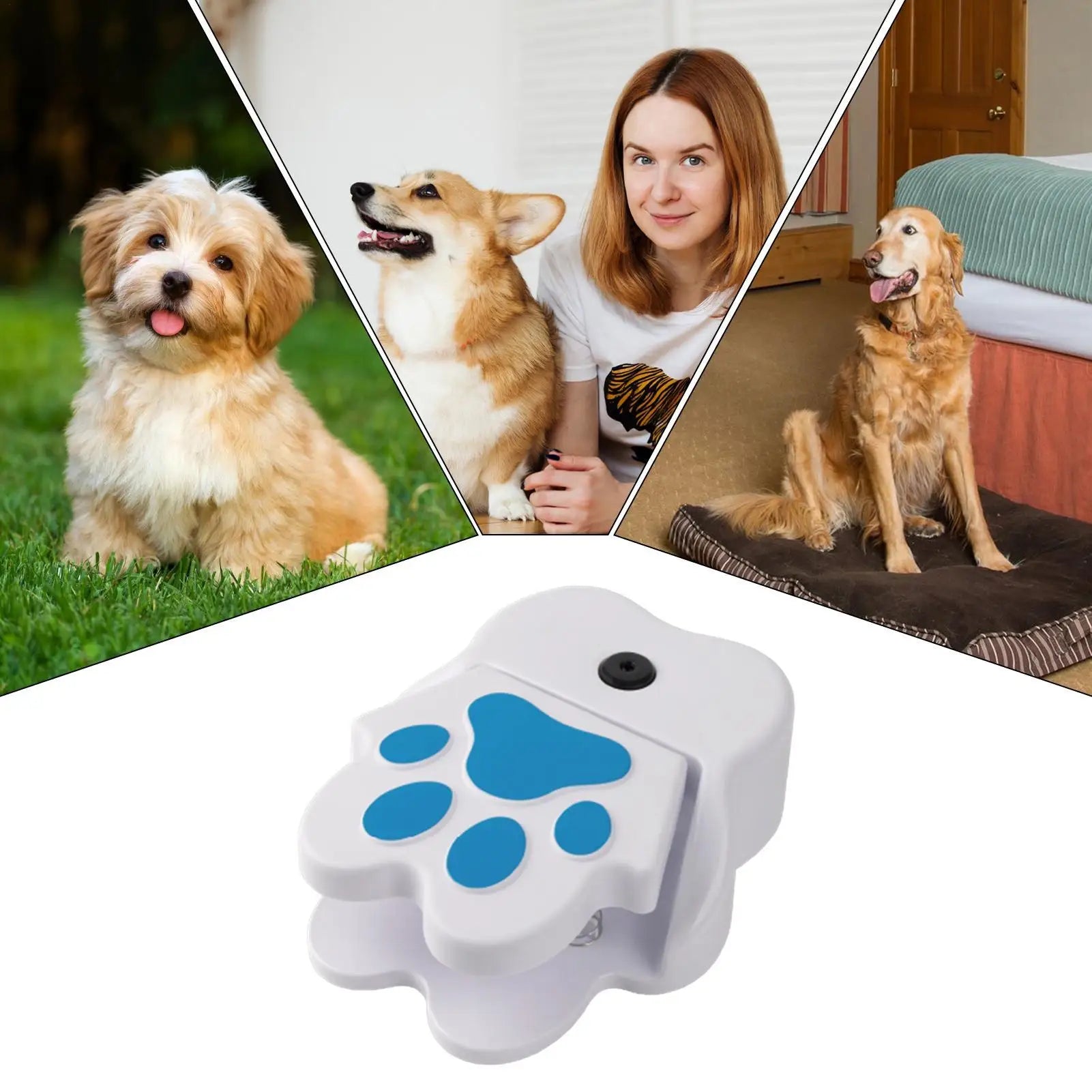 Premium Paw Activated Dog Fountain - Outdoor Sprinkler