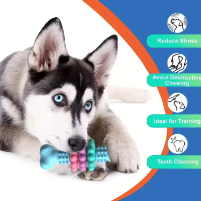 Premium Dog Chew Toy - Dental Cleaning & Leaky Treat Function