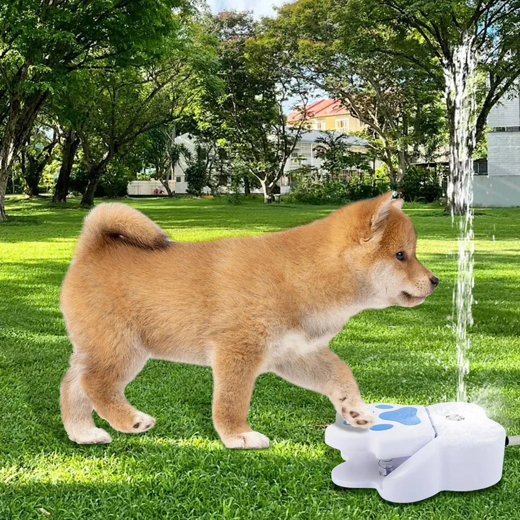 Premium Paw Activated Dog Fountain - Outdoor Sprinkler