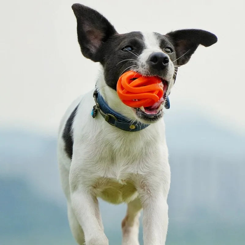 Premium Dog Chew Balls - Bite-Resistant Silicone