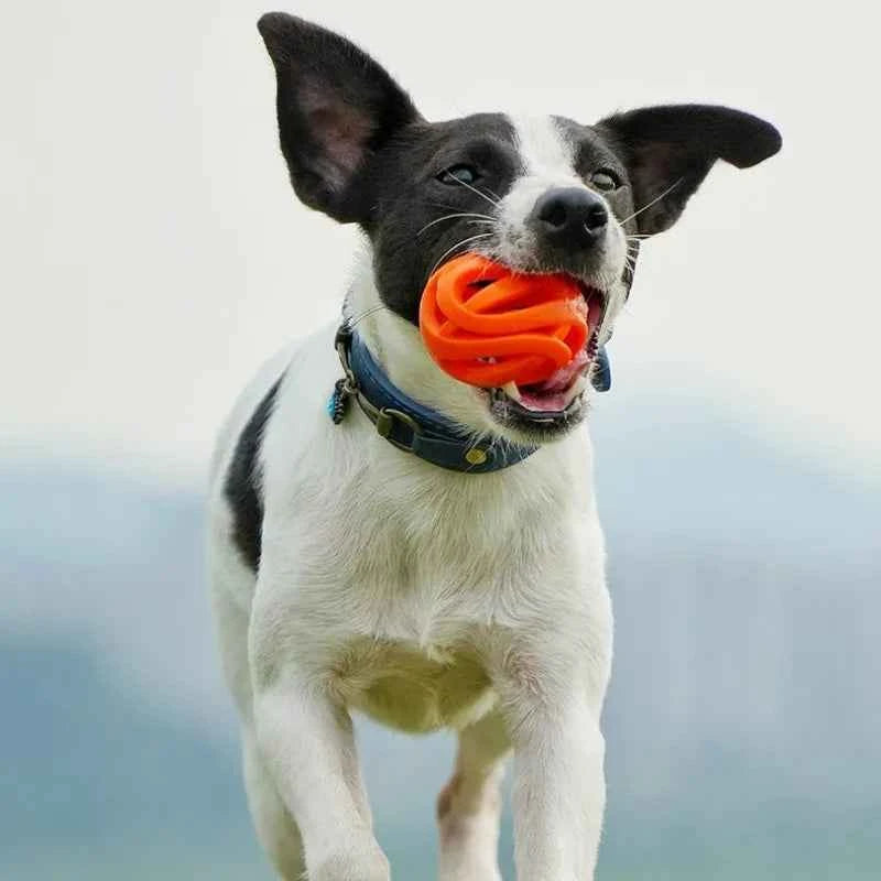 Pet Toys - Bite-resistant Chewing Balls - Hollow Elastic Balls - Training Balls -Entertainment and Relaxation Toys -Pet Supplies