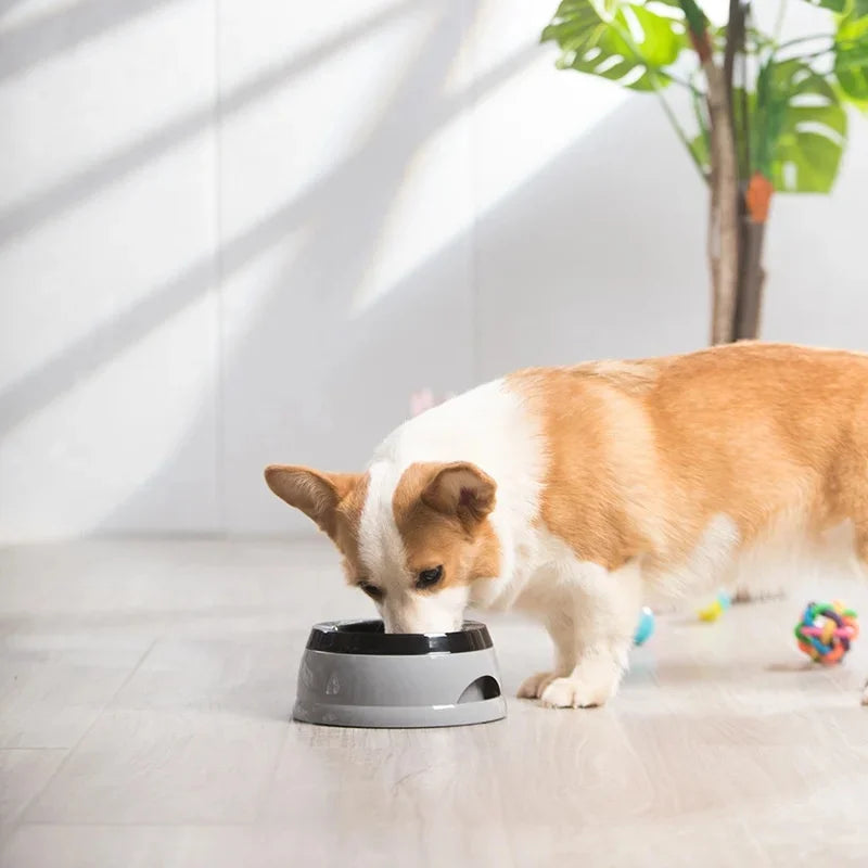 Premium No Spill Pet Bowl - Floating Water Feeder