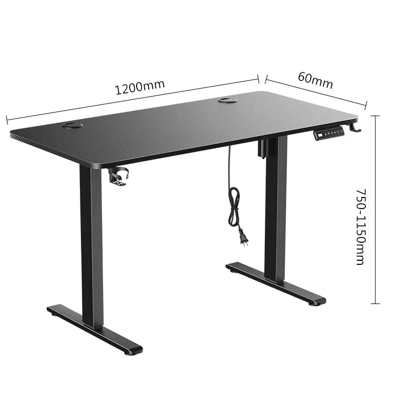 Premium Electric Standing Desk - Height Adjustable Motion Desk