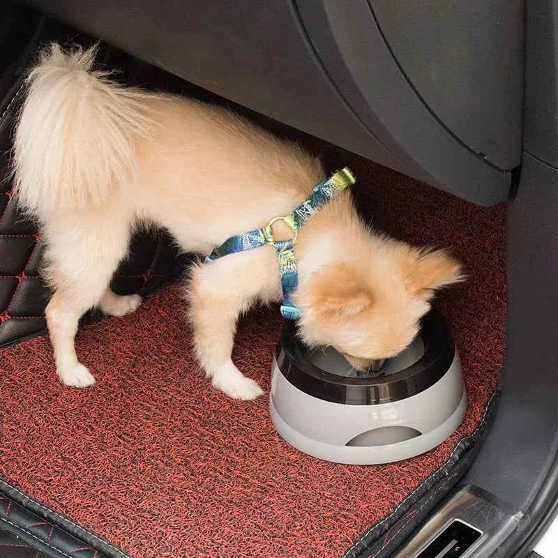 Premium No Spill Pet Bowl - Floating Water Feeder