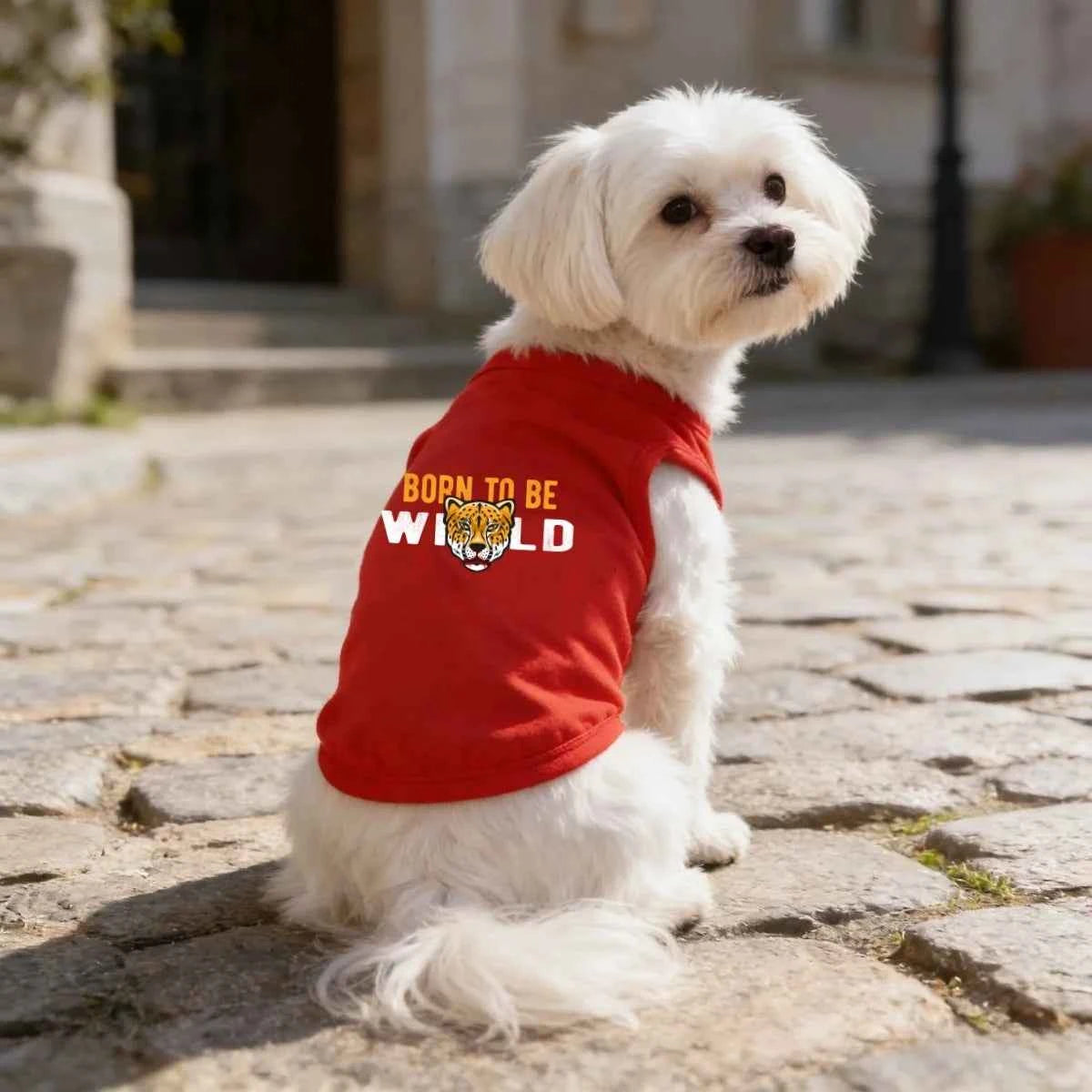 1pc  Fashion Printed Pet T-shirt, Made of Polyester Fiber Material, Suitable for Indoor and Outdoor Leisure, Entertainment