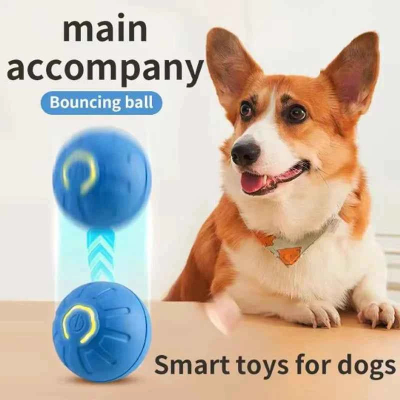 Premium Interactive Pet Toy Ball - Automatic Moving & USB Rechargeable