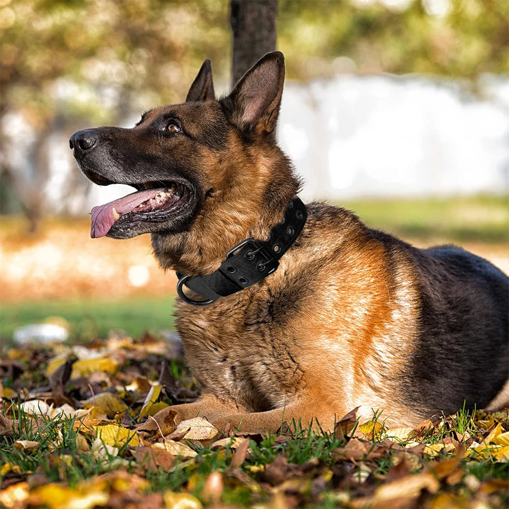 Premium Tactical Dog Collar - Durable Military Nylon