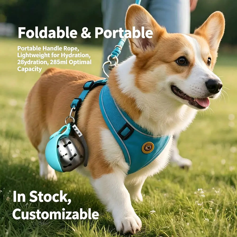 Premium Portable Dog Water Dispenser - Stainless Steel