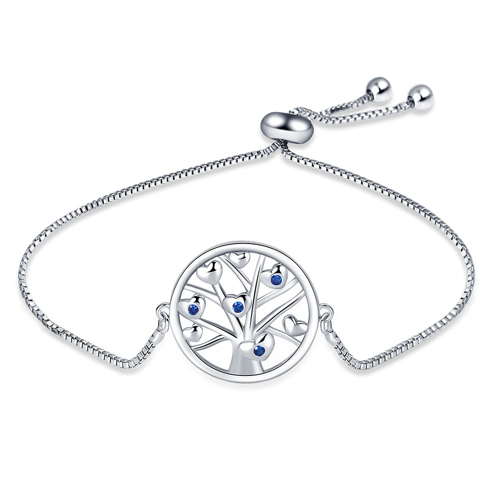 Stunning 925 Silver Zircon Bracelet - Luxury Lucky Symbol Jewelry