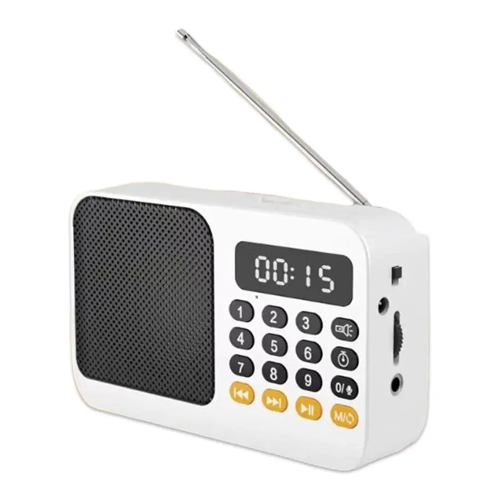 Portable Bluetooth Speaker - FM Radio & LED Light Wireless Audio