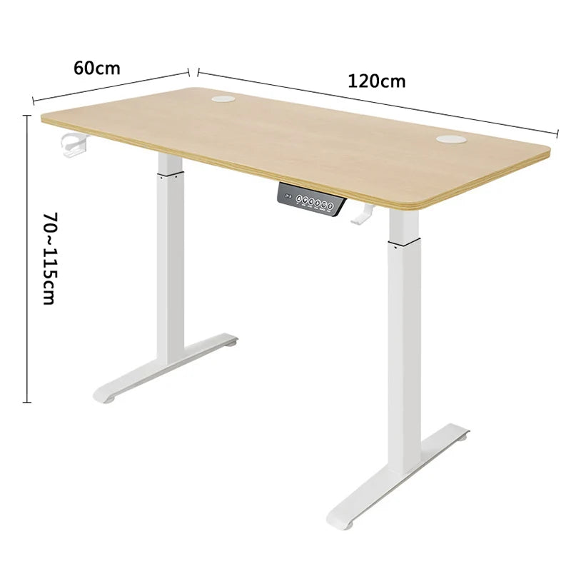 Premium Electric Standing Desk - Height Adjustable Motion Desk