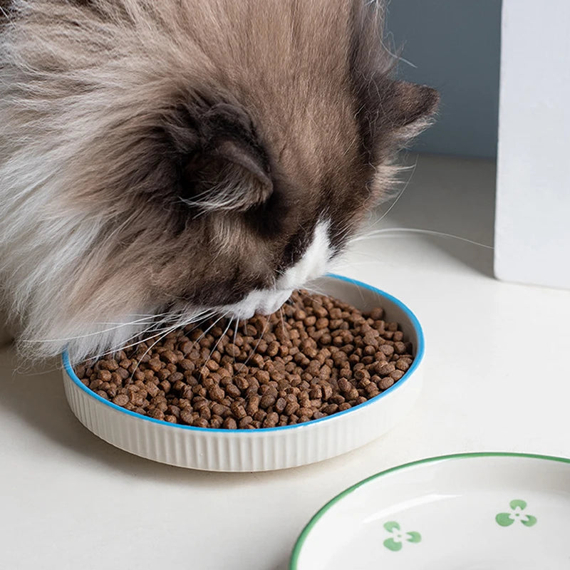 Premium Ceramic Cat Bowl - Elevated Feeding & Water Dish