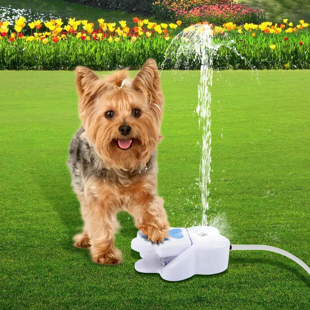 Paw activated dog fountain - white plastic dispenser with green hose connection in a garden setting